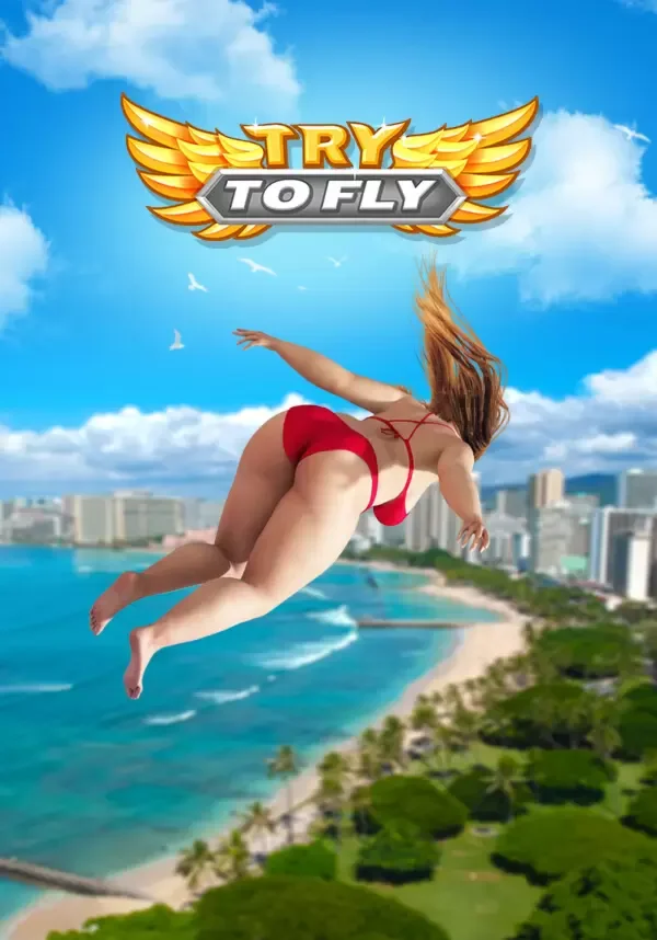 Try to Fly (STEAM Ключ) Все страны