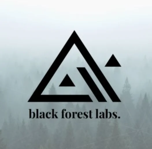 Black Forest Labs | BFL AI / КРЕДИТЫ
