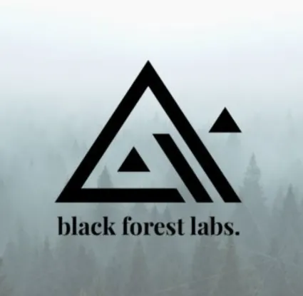 Black Forest Labs | BFL AI / КРЕДИТЫ