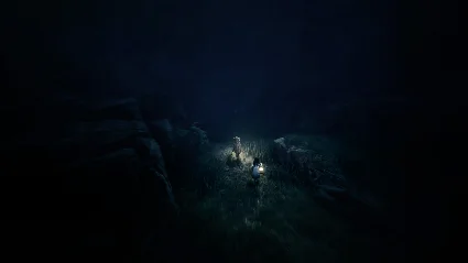 REANIMAL * STEAM RU*KZ*UA*СНГ 🔥 АВТОДОСТАВКА