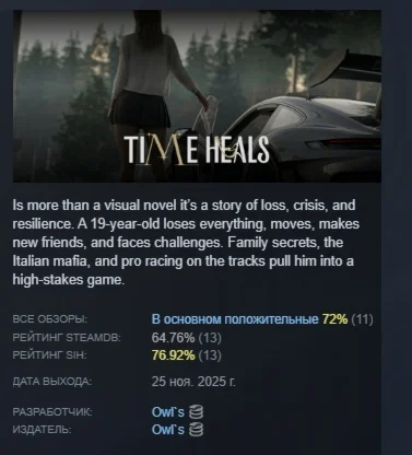 Time Heals АВТОДОСТАВКА STEAM РОССИЯ