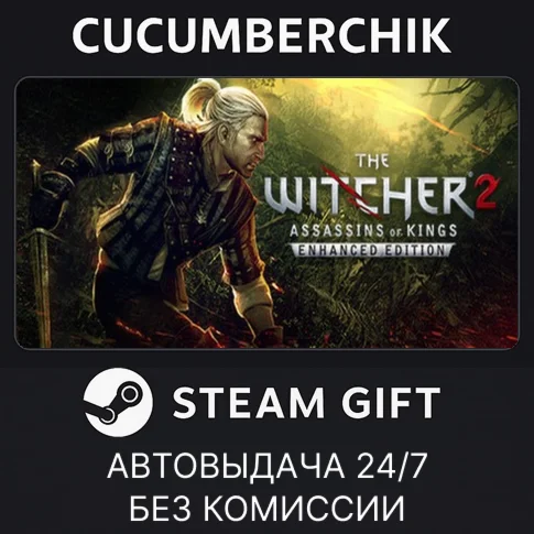 The Witcher 2 (RU)STEAM GIFT AUTOUA+МИР