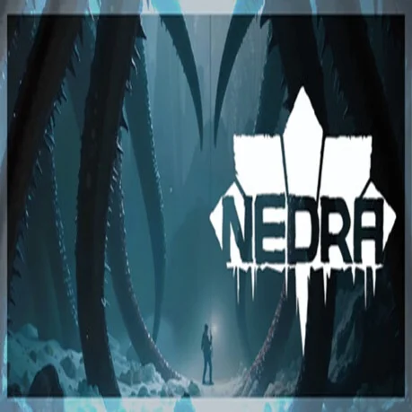 NEDRA (Steam key / РФ+Весь Мир)