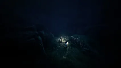 REANIMAL - STEAM GIFT РОССИЯ