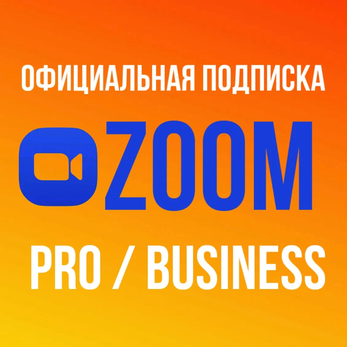 Zoom One Pro/Business 1-12 месяцев