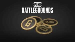 PUBG G-COINS PC