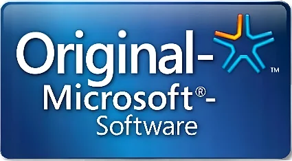 Visio 2019 Professional 🌎 Official Binding Online 🔑