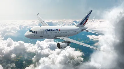 ️FSX Steam Edition: Airbus A318/A319 Add-On STEAM GIFT