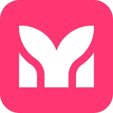 mermaid chart Подписка Pro Premium