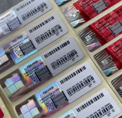 Project 2019 Professional 🌎 Official Binding Online 🔑