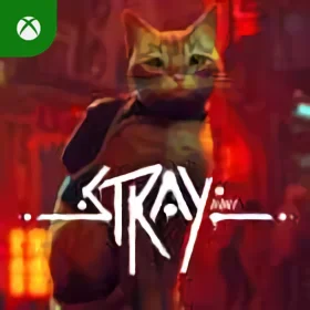 Stray Xbox