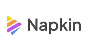 Napkin ai plus/Pro Аккаунт подписки