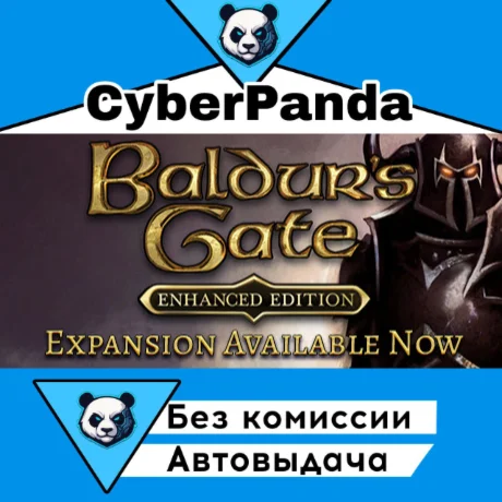 Baldur's Gate: Enhanced Edition STEAM GIFT  АВТО