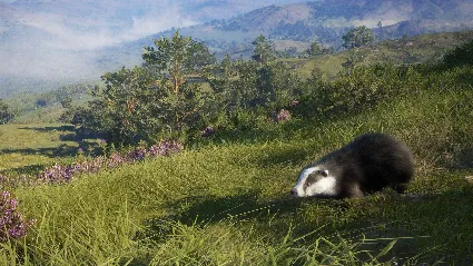 ️theHunter: Call of the Wild™ - Scotland Hunting Reserv