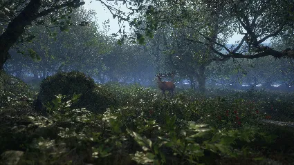 ️theHunter: Call of the Wild™ - Scotland Hunting Reserv