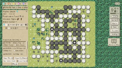 The Conquest of Go - STEAM GIFT РОССИЯ