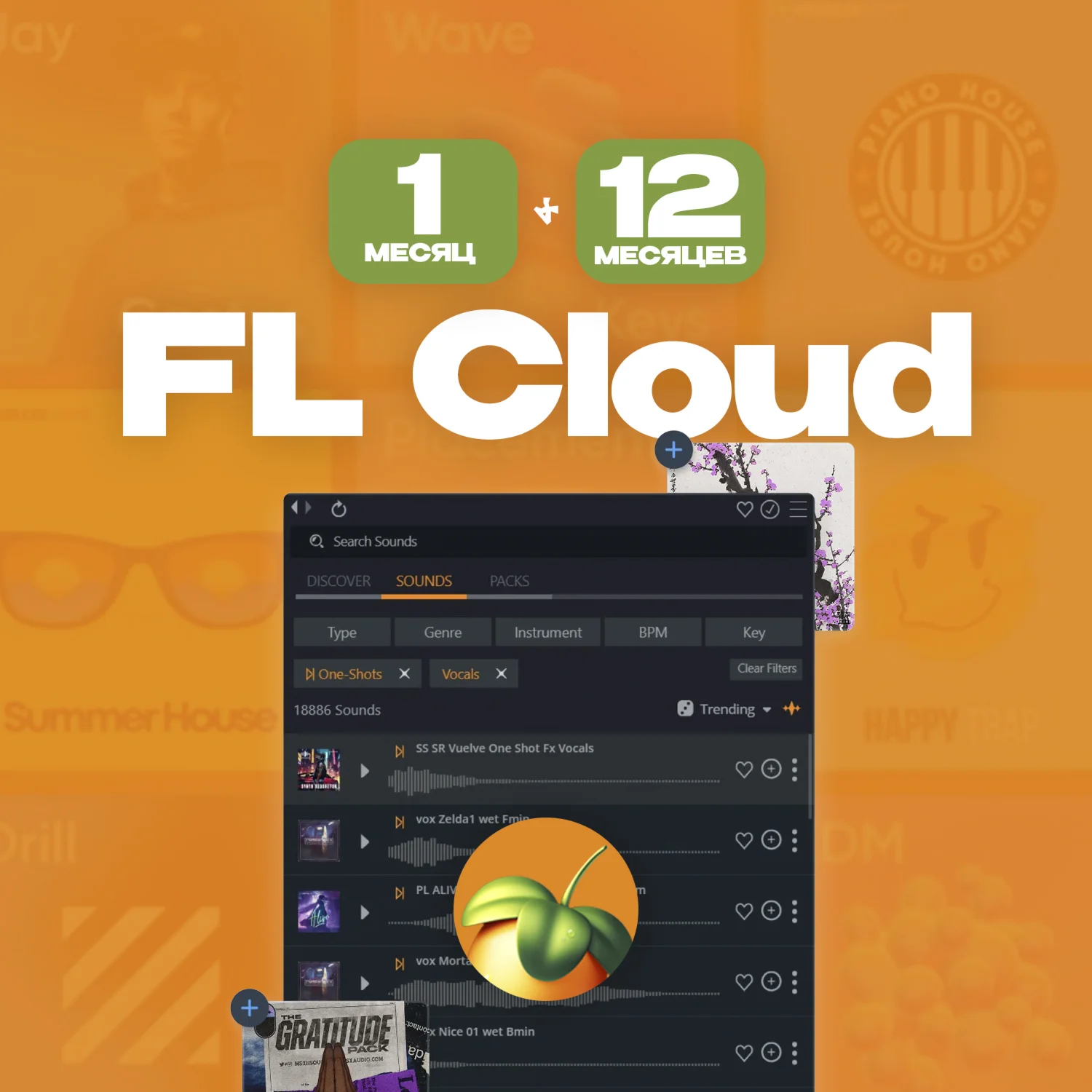 FL CLOUD | ПОДПИСКА 1-12 МЕСЯЦЕВ | PRO/PLUS