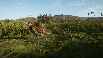 theHunter: Call of the Wild™ - Scotland Hunting Reserve DLC