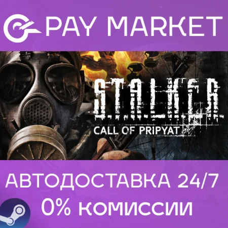 ⚡️S.T.A.L.K.E.R.: Call of Pripyat | АВТО [Россия Gift]