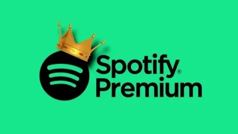 ПОДПИСКА SPOTIFY PREMIUM НА 1-12 МЕСЯЦЕВ  PAYPAL