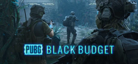 【Ключ Steam】PUBG: Black Budget Playtest PC CDKEY