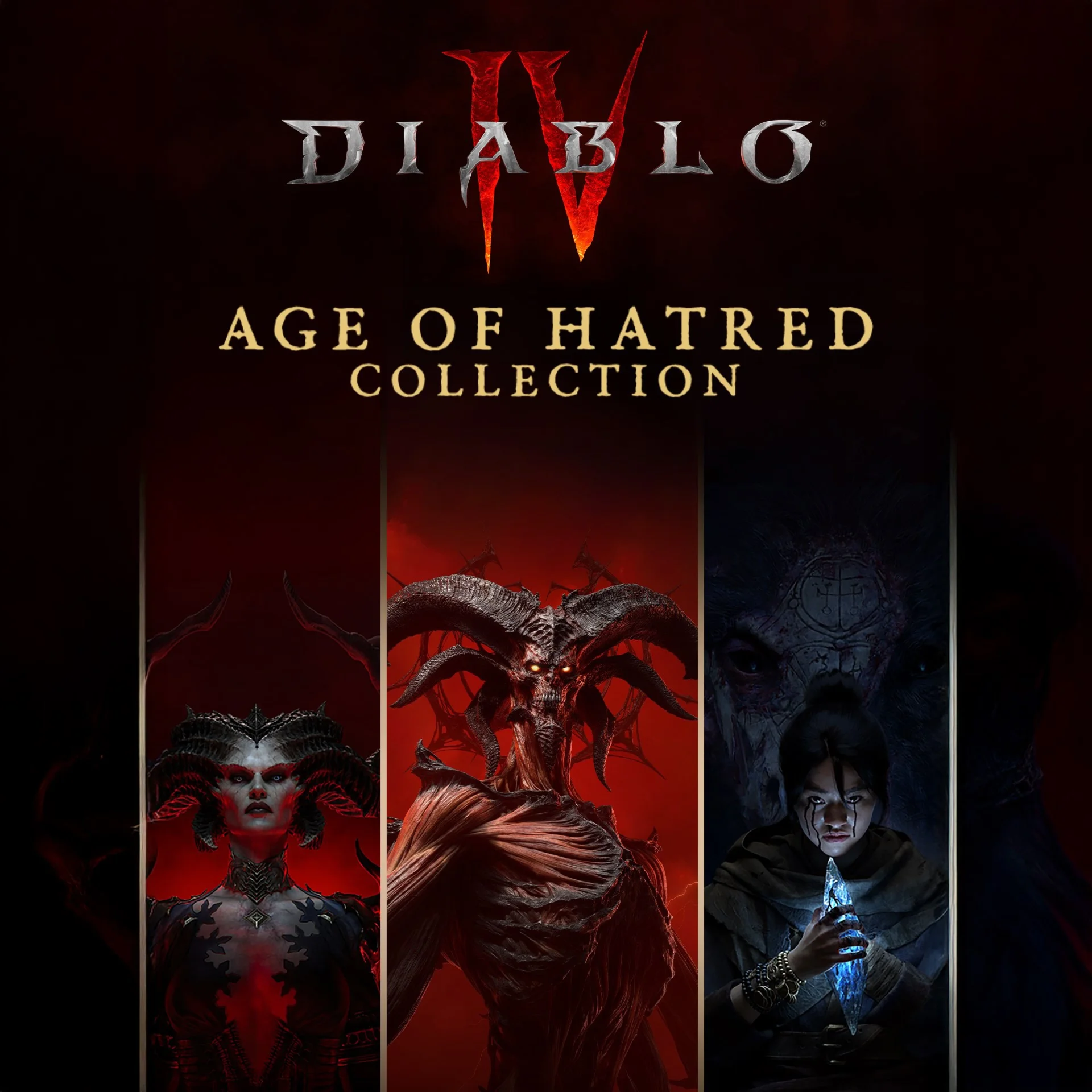 Diablo 4 Standard / Lord of Hatred (BATTLENET KZT)