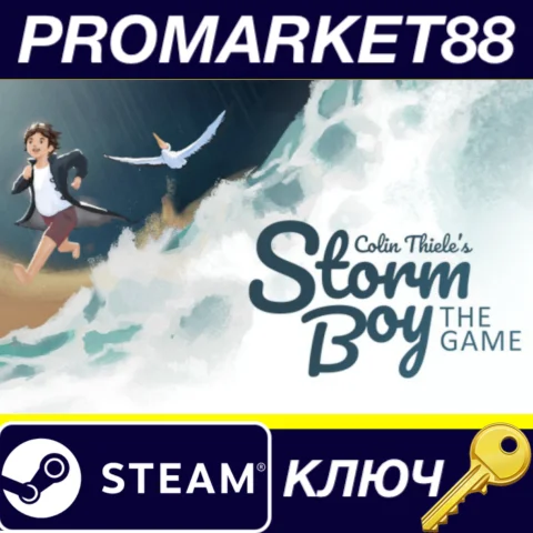 Storm Boy Steam КЛЮЧ GLOBAL