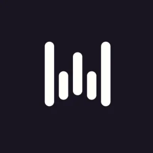 Wispr Flow Pro 3 месяца приватного пользования️