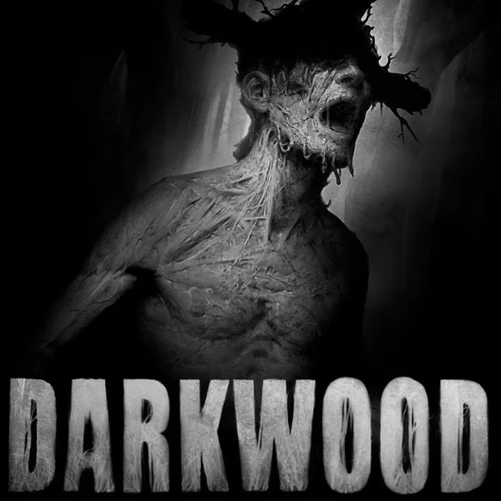 Darkwood (Ключ Steam | РФ+СНГ)