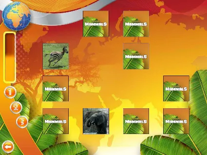 Wildlife Creative Studio Steam КЛЮЧ GLOBAL