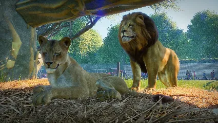 Planet Zoo NA Steam КЛЮЧ США