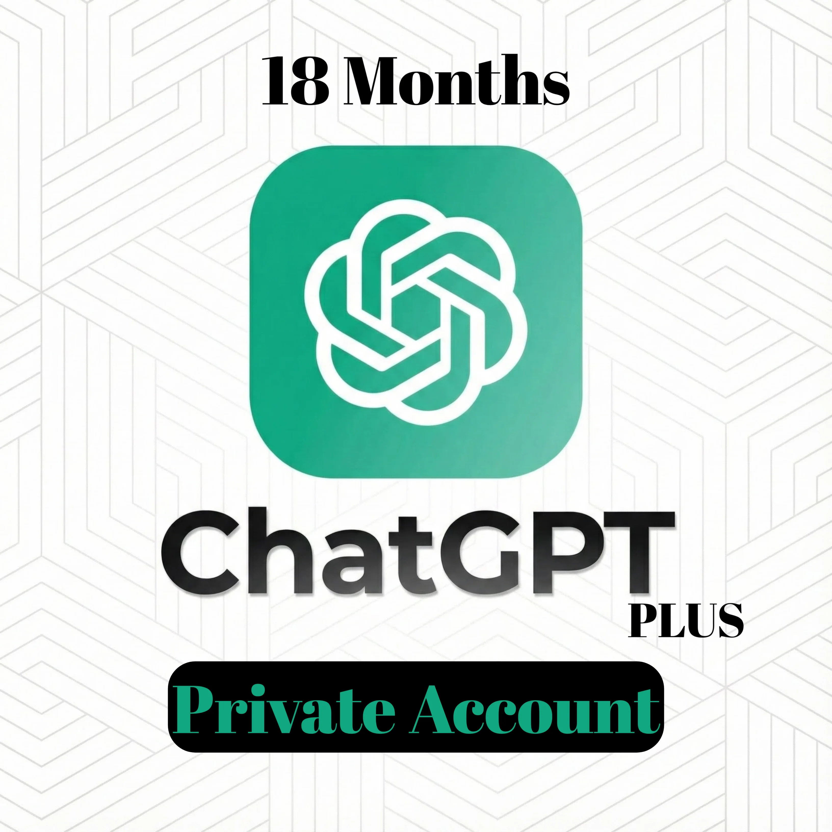ChatGPT Plus 18 месяцев (приватный аккаунт)
