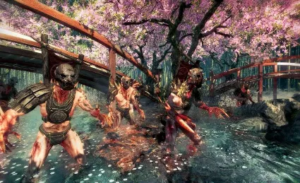 Shadow Warrior US Steam КЛЮЧ США