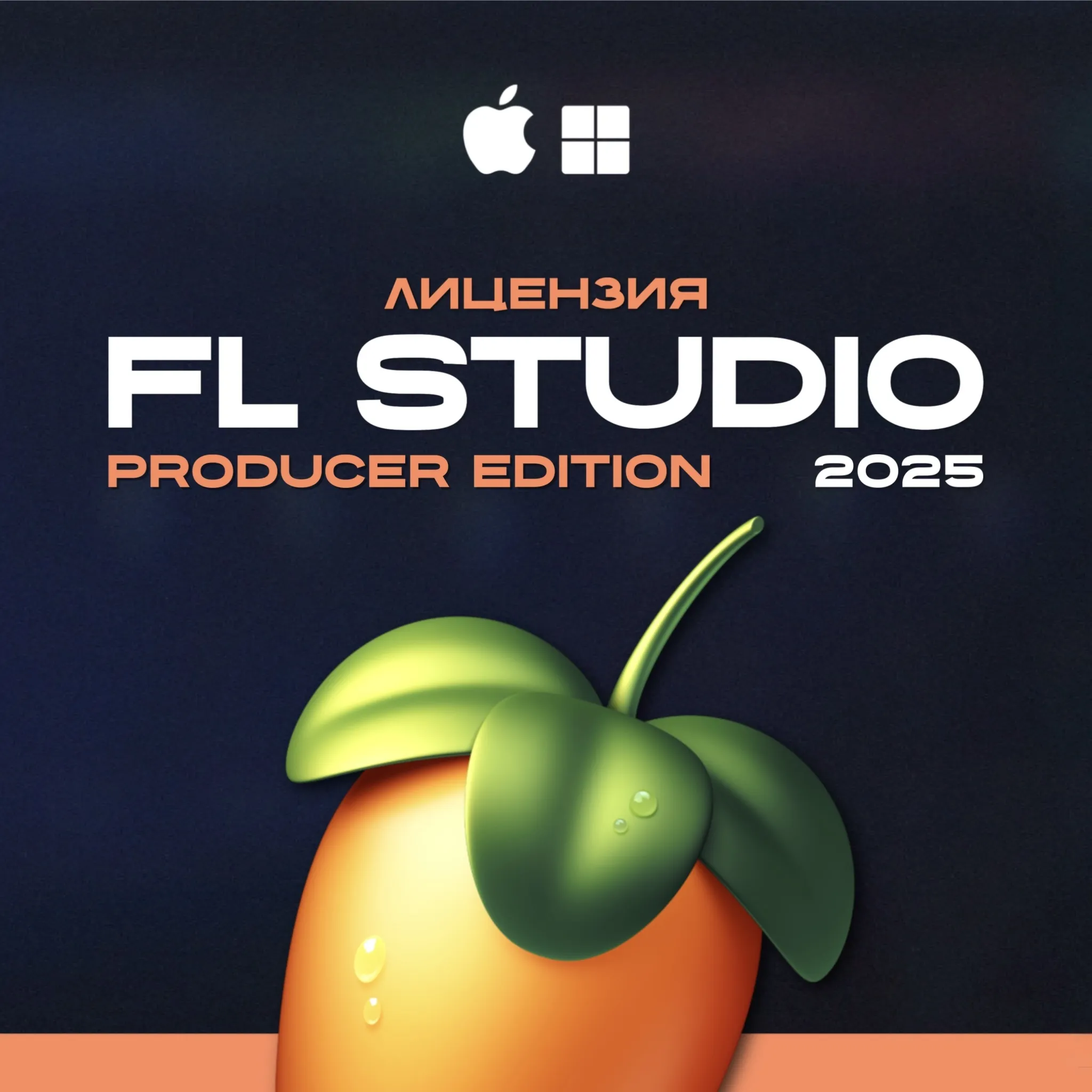 FL Studio 2025 Producer Edition (Лицензия)