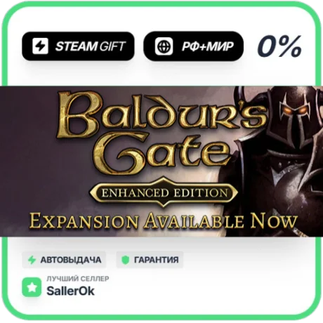 Baldur's Gate: Enhanced Edition • РФ + МИР • АВТО