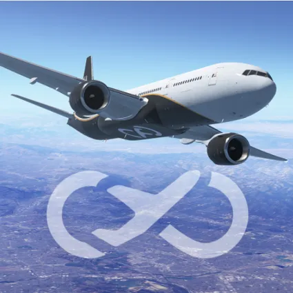 infinite flight 1 |6 |12 месяцев подписки на ваш аккаун