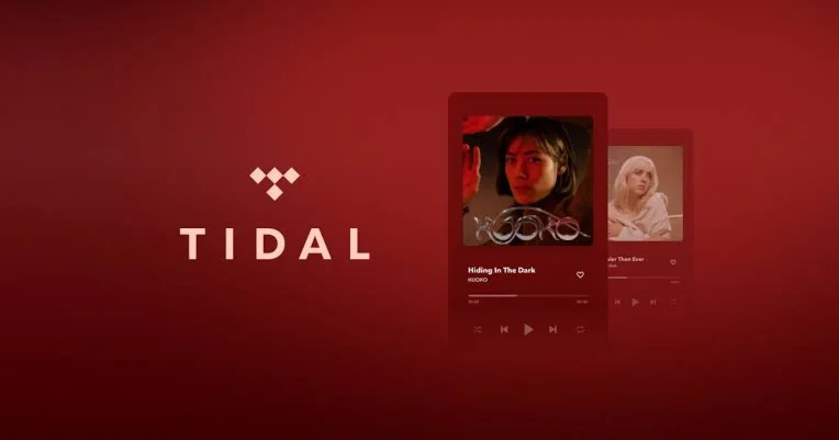 🎧🎵TIDAL HiFi PLUS ACCOUNT★⏳🎵1 MONTH★WARRANTY 💥💯