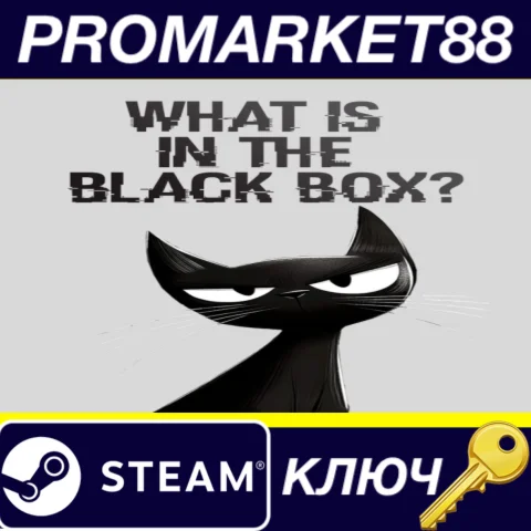 What is in the Black Box? Steam КЛЮЧ GLOBAL
