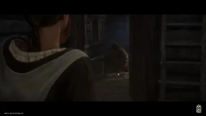 Kingdom Come: Deliverance - A Woman's Lot DLC RU/CIS St