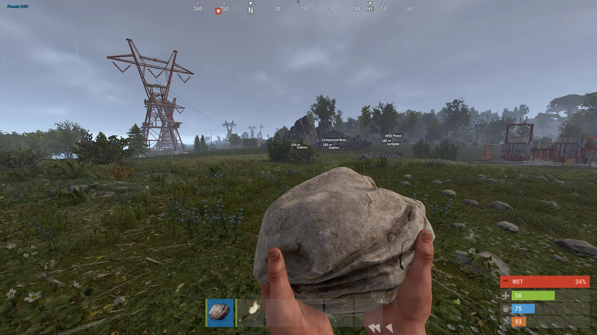 Phoenix RUST (Non-Steam)