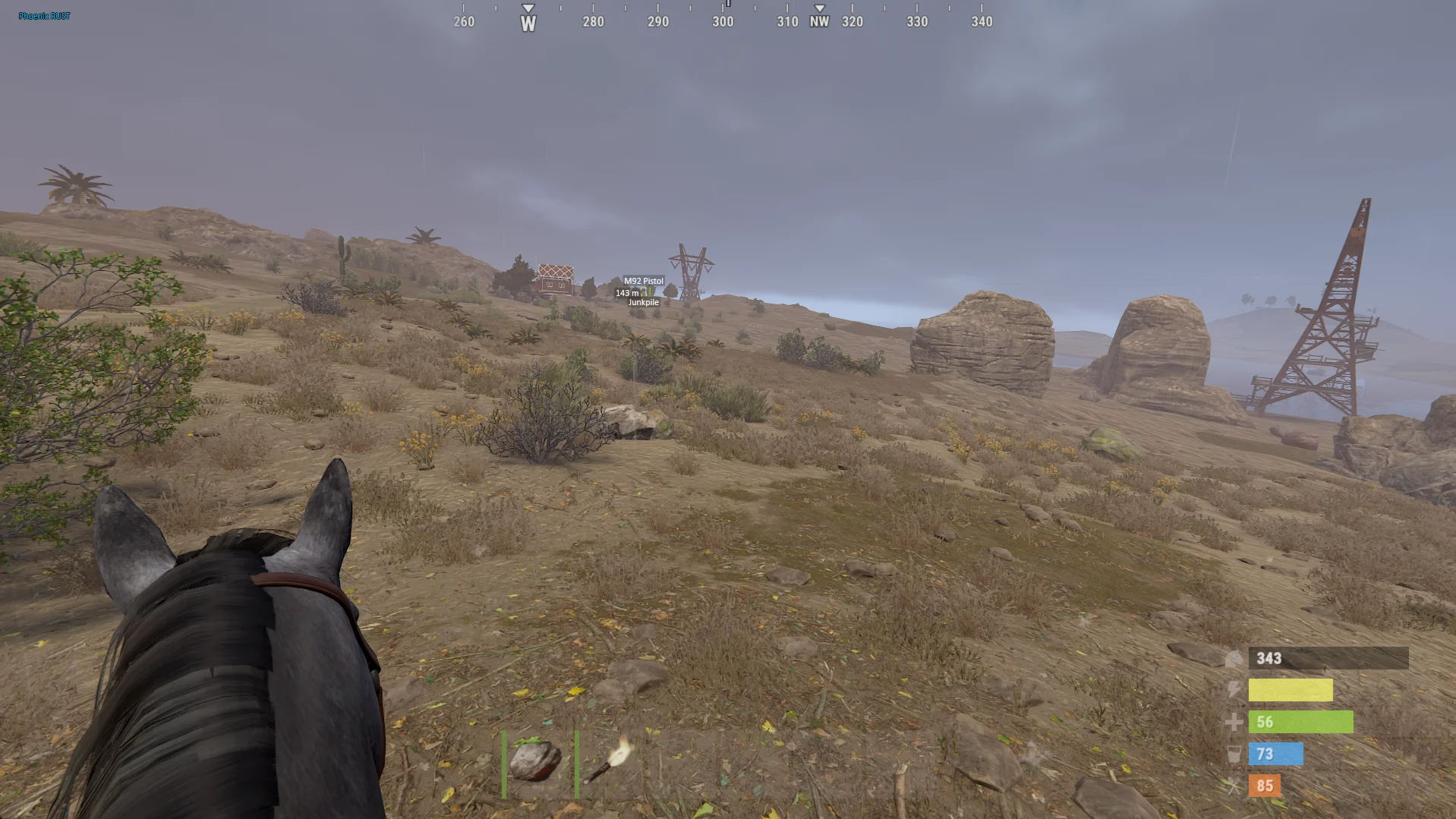 Phoenix RUST (Non-Steam)