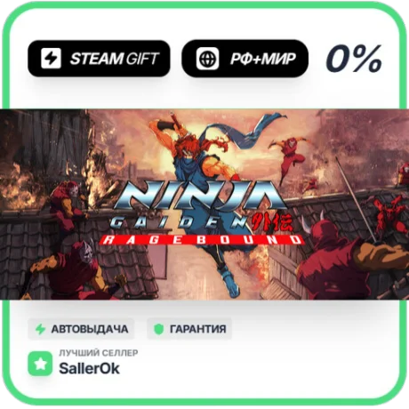 NINJA GAIDEN: Ragebound • РФ + МИР • АВТО