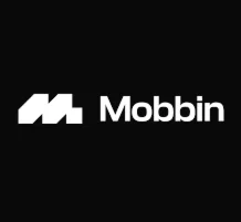 Mobbin Pro — 1 год на вашу электронную почту