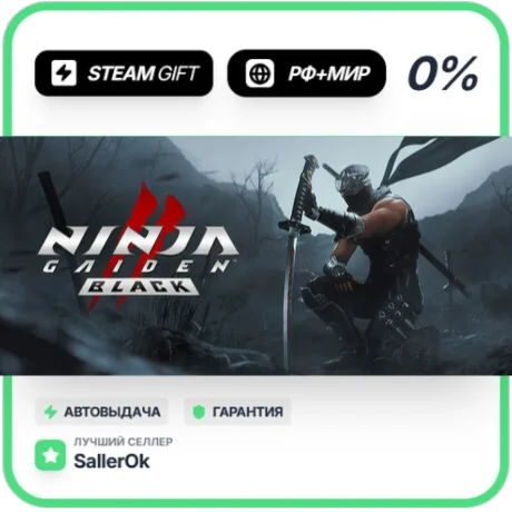 NINJA GAIDEN 2 Black • РФ + МИР • АВТО