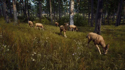 Way of the Hunter Elite Edition Steam КЛЮЧ ЕВРОПА