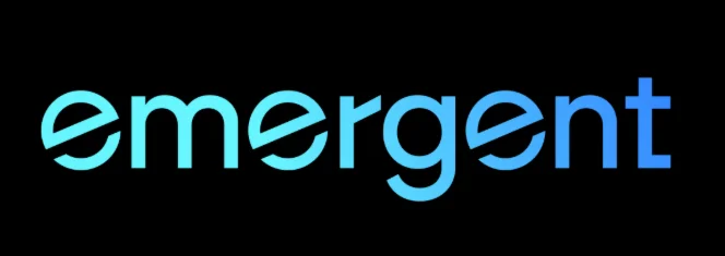 Стандартный план Emergent AI на 1 год — на вашу электро