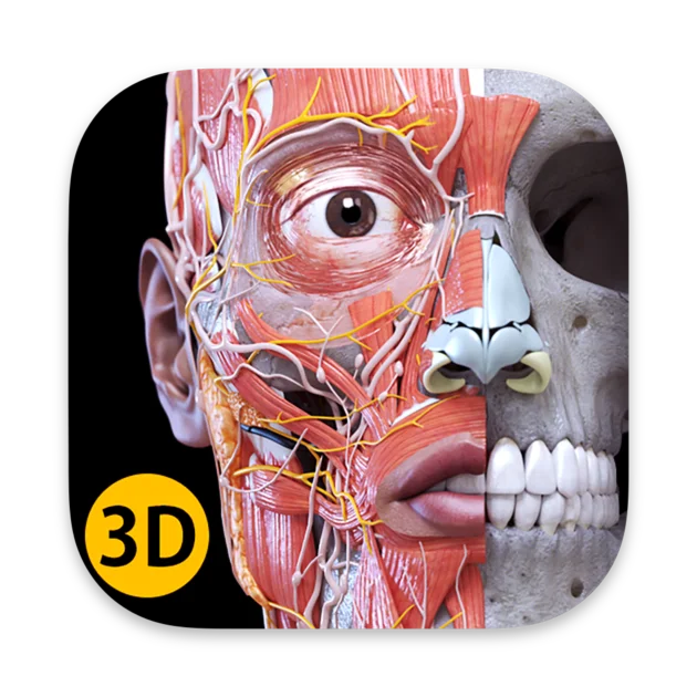 Anatomy 3D Atlas Полная версия Microsoft Store Windows