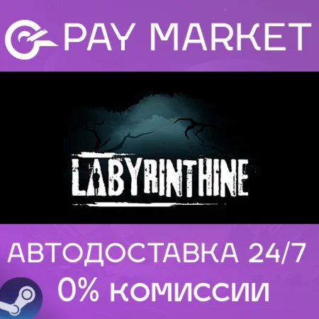 ️Labyrinthine | АВТОДОСТАВКА [Россия Steam Gift]