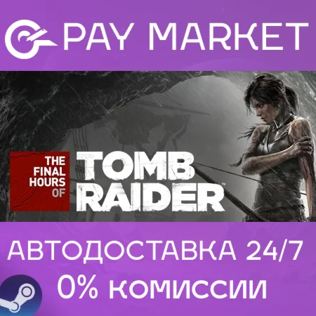 Tomb Raider - The Final Hours Digital Book |Steam АВТО