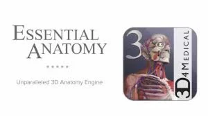 Активация Essential Anatomy 3 в Microsoft Store для Win